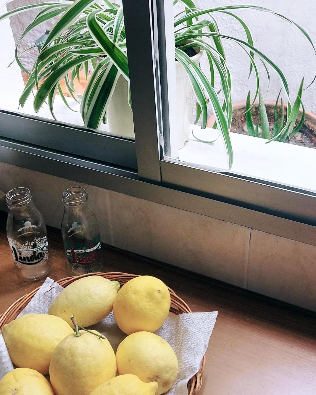 カソルラ Casa De La Abuelitaヴィラ エクステリア 写真